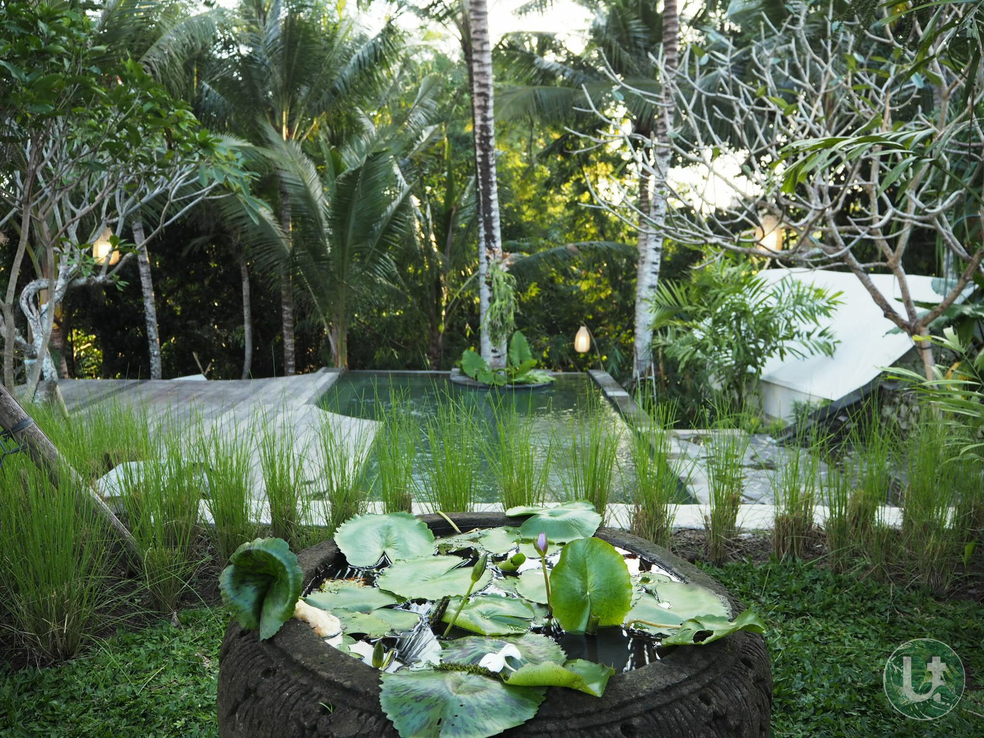 Ubud Tropical Εξωτερικό φωτογραφία