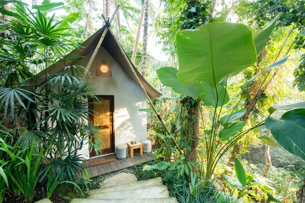 Ubud Tropical Εξωτερικό φωτογραφία